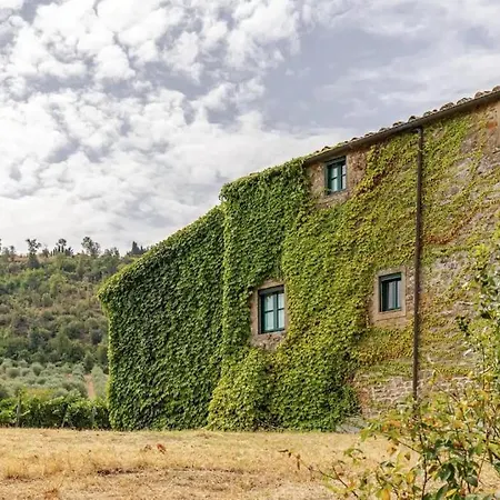 Riseccoli * Greve in Chianti